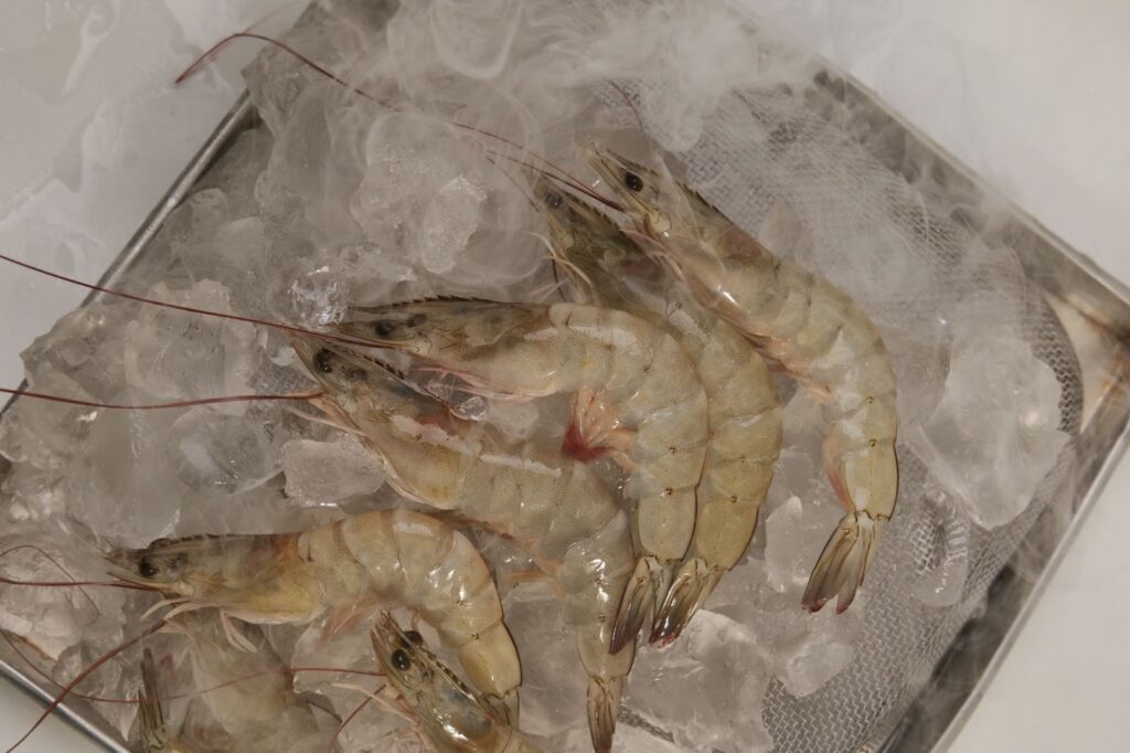 Perhitungan size udang dan ikan