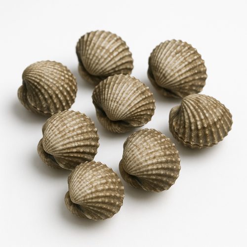 Kerang Dara