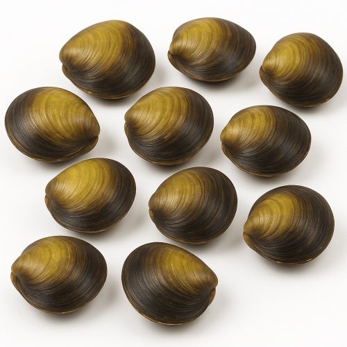 Kerang Totok